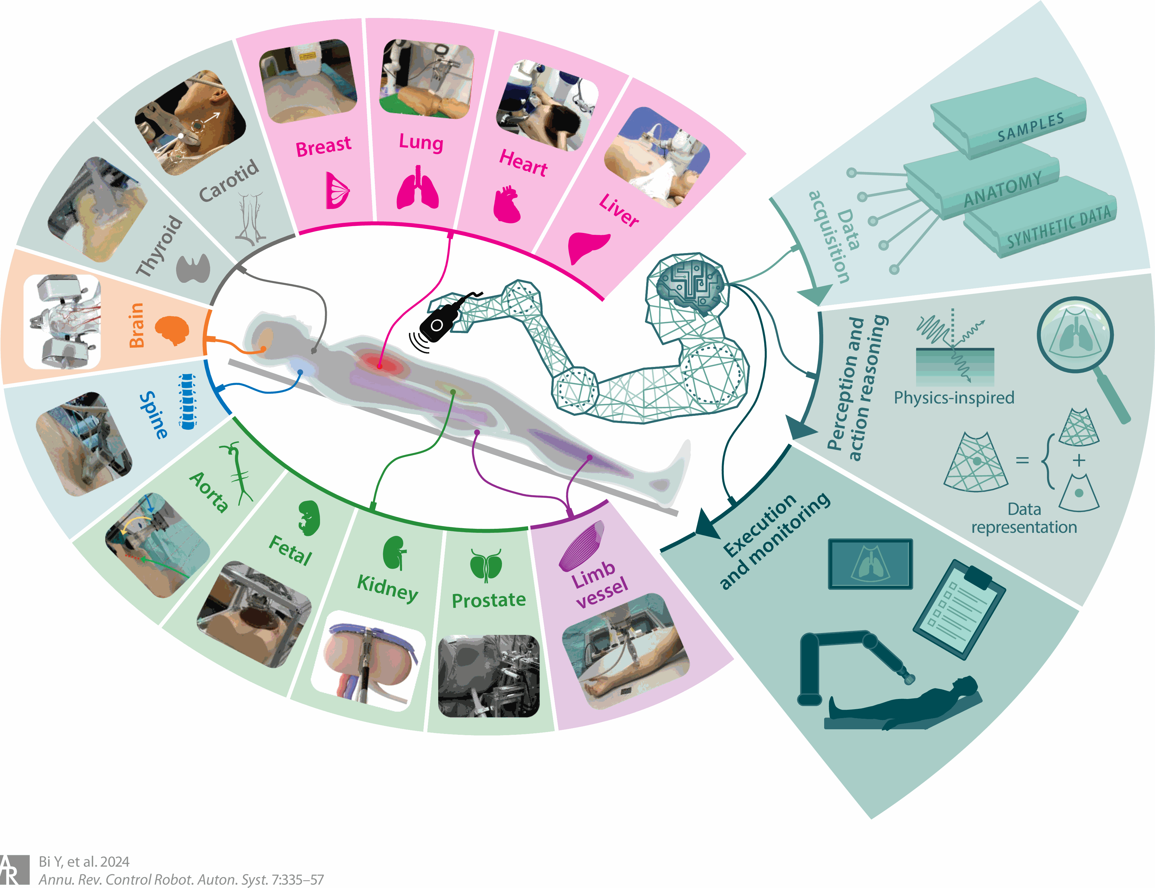 Annual Review paper teaser image