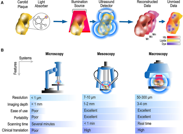 Optoacoustic biomarkers paper teaser image
