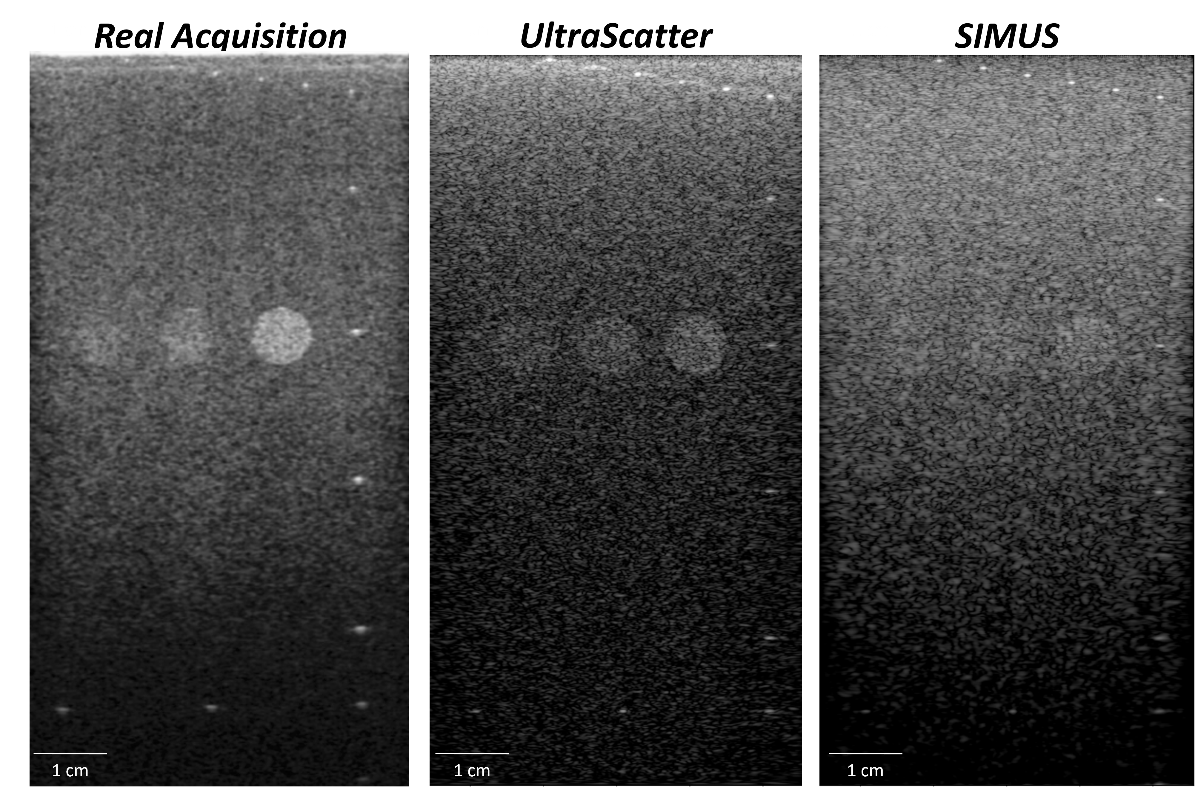 UltraScatter teaser image